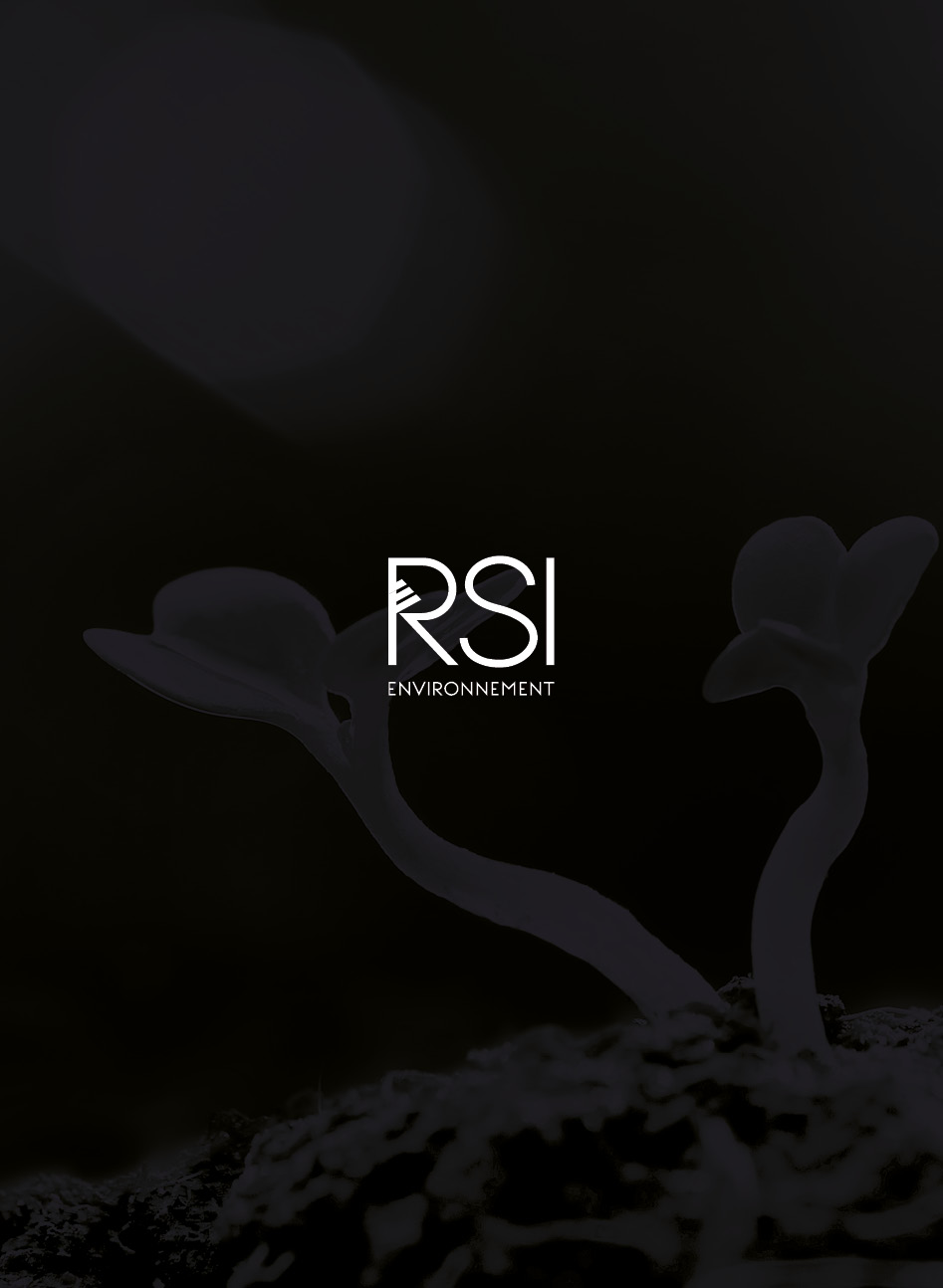 RSI Environnement | Récit