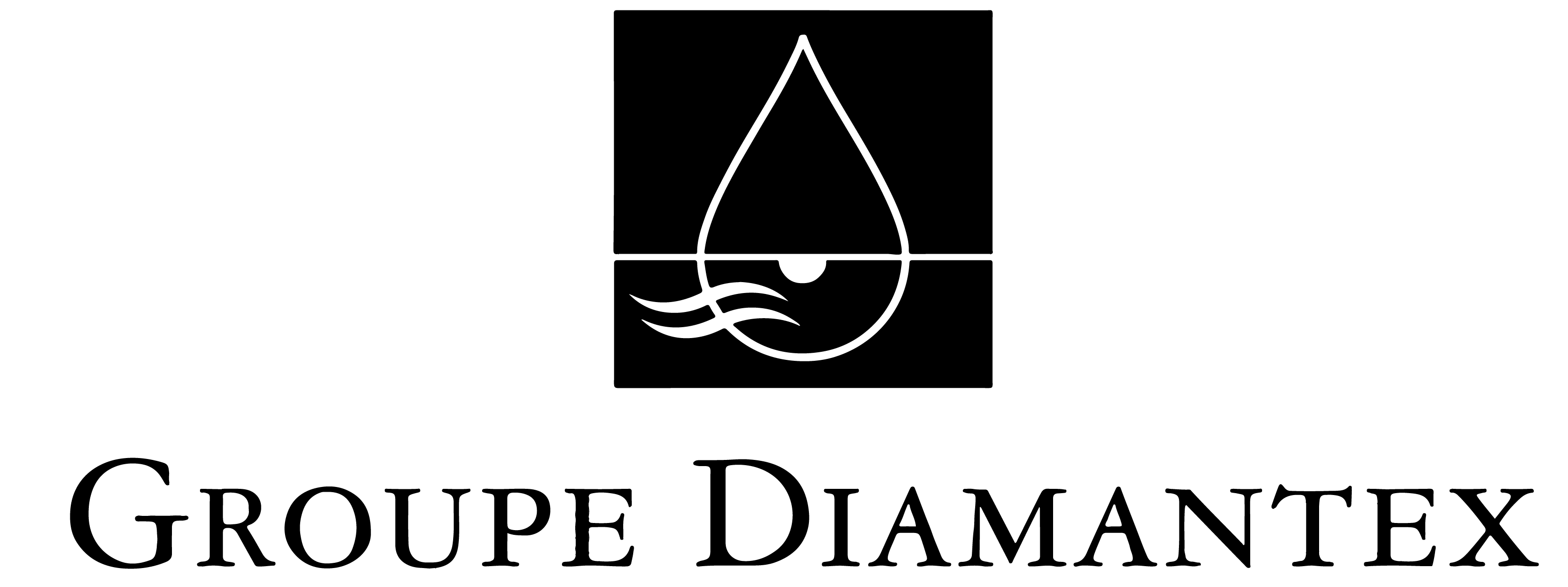 Groupe Diamantex - Logo