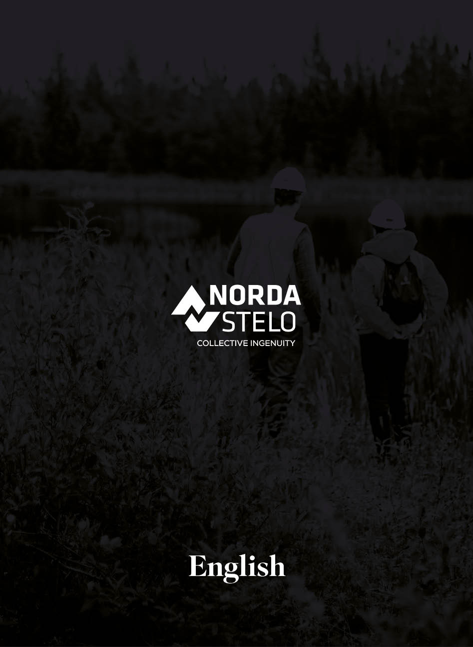 Norda Stelo – English | Récit