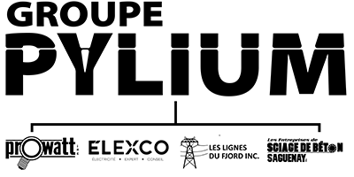 Groupe Pylium - Logo